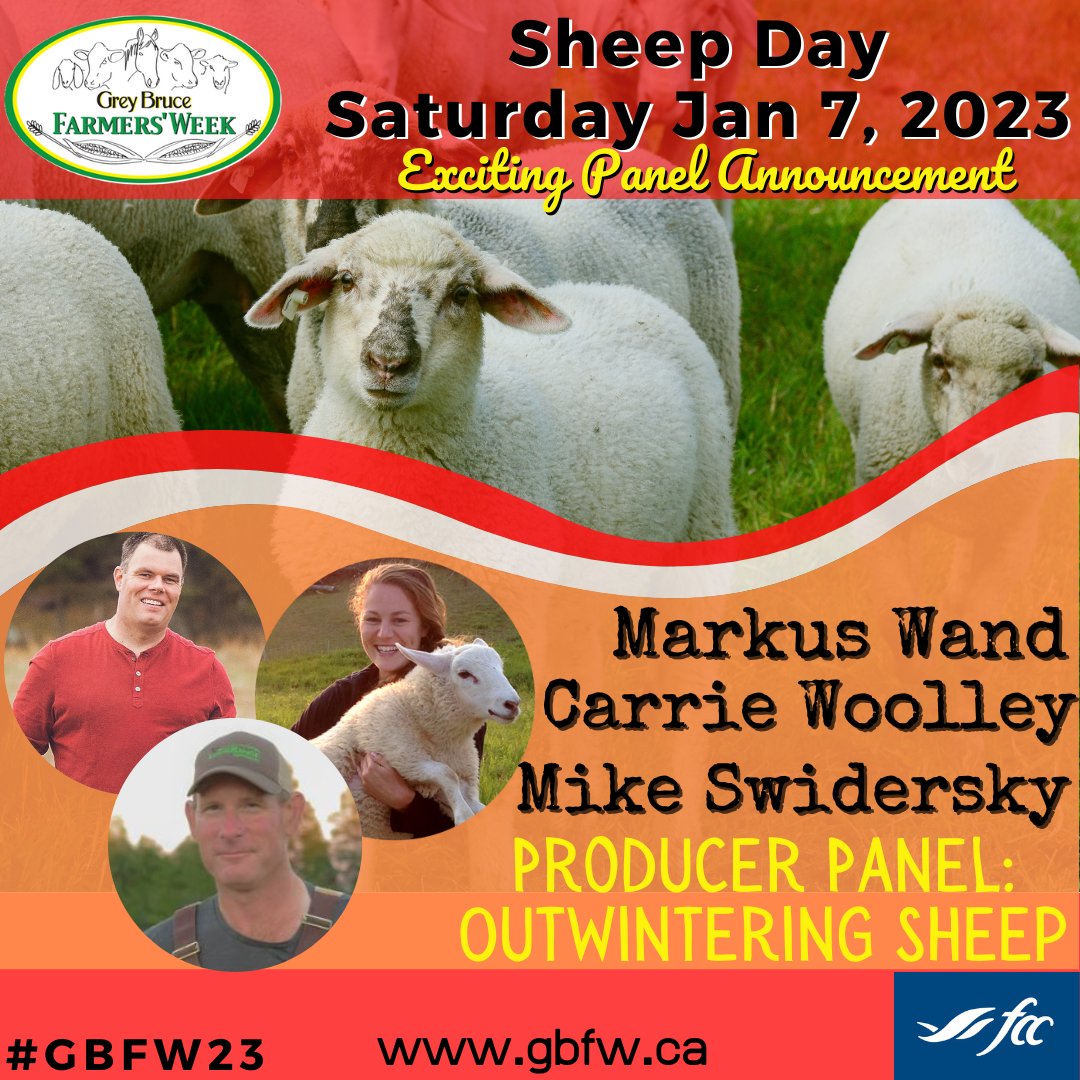 Producer Panels are our fav part of every #GBFW23 day! #Sheep Day will be no exception! Learn from <a href="/MikeSwidersky/">Mike Swidersky</a> <a href="/CarrieWoolley1/">Carrie Woolley</a> <a href="/WandMarkus/">Markus Wand</a> about their outwintering practices. Lots of opportunity for questions. Elmwood CC/#livestreaming
#OntAg #Farm365 #AgProud #AgConference