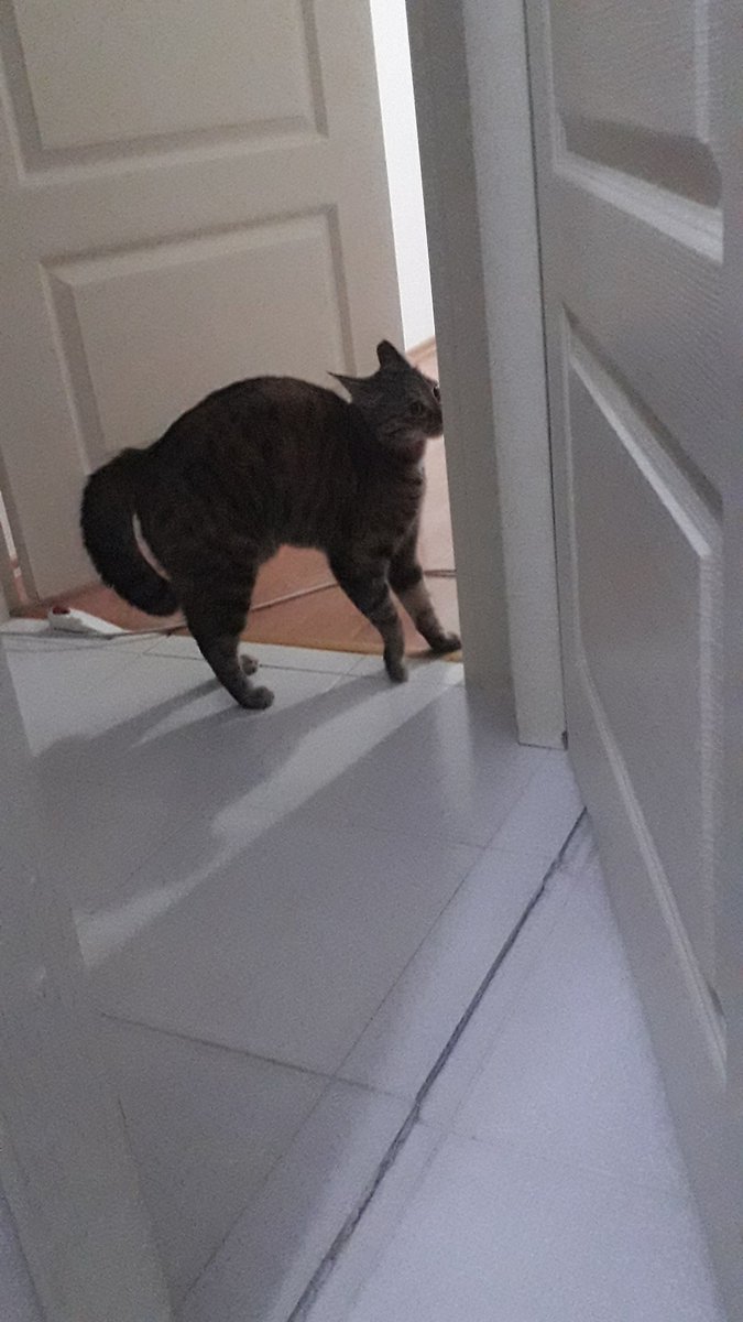 kudurmuşdum birdembire