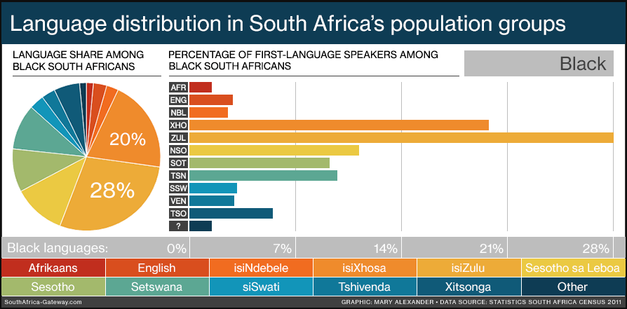 Warren Bradfield tweet media