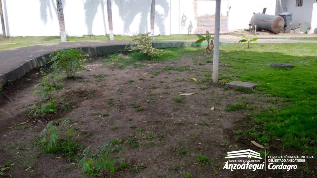 CordagroAnz's tweet photo. 📢Por orientación del gobernador  @luismarcanos, el equipo de #Cordagro realizó una inspección en las áreas externas de la residencia Kariña, antigua casa oficial asignada al mandatario regional, en donde ahora funcionará el Centro de Rehabilitación Infantil “Virgen Del Valle” ⬇️ https://t.co/zccRKI5MKP