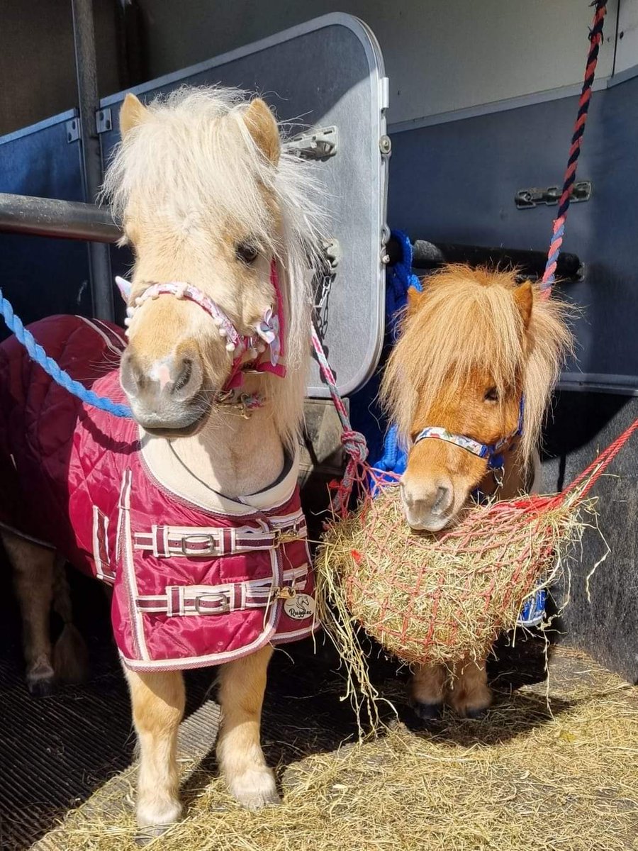 EilzMac's tweet photo. @DrakiesPS Summer Fayre 🎉
This Saturday! Lots of stalls, games, food, refreshments and pony rides for children 🐴
Pop along and support our school 👍 https://t.co/scdihFslxR
