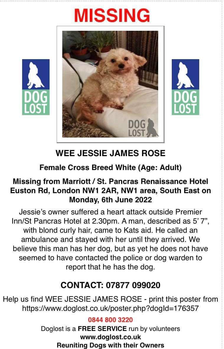 Please share this latest LOST poster of Jessie.

Owner taken to hospital . Blonde , curly haired male had hold of dog whilst owner was being cared for by paramedics &amp; taken off to hospital.

Let’s try &amp; locate the man who also called the ambulance too.

RT