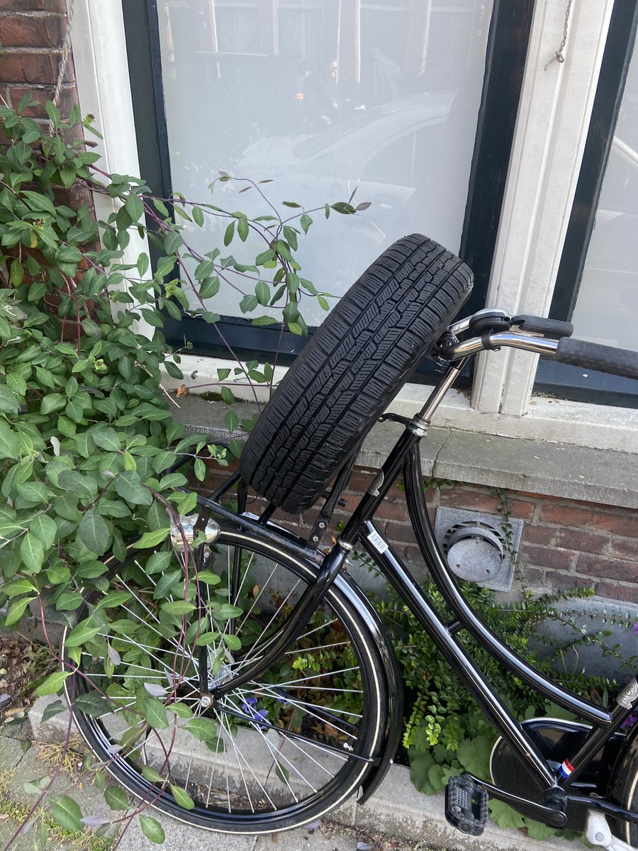 radboud spruit tweet media