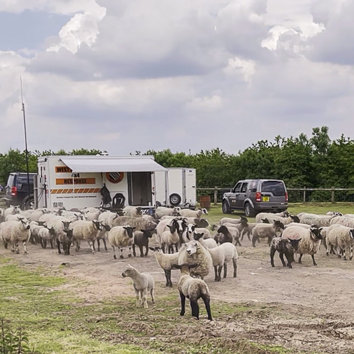 WM4x4R's tweet image. Over the weekend our #volunteers participated in a training event, where we tested our driving skills and latest equipment. We also assisted a local farmer with rounding up his flock of sheep - Not one of our usual call outs!

#4x4response #4x4responseuk #volunteering