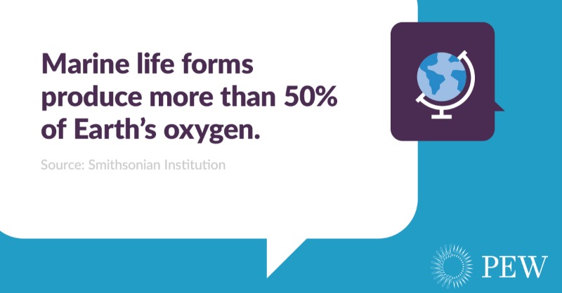 Every other breath you take is a gift from the ocean.

#WorldOceansDay