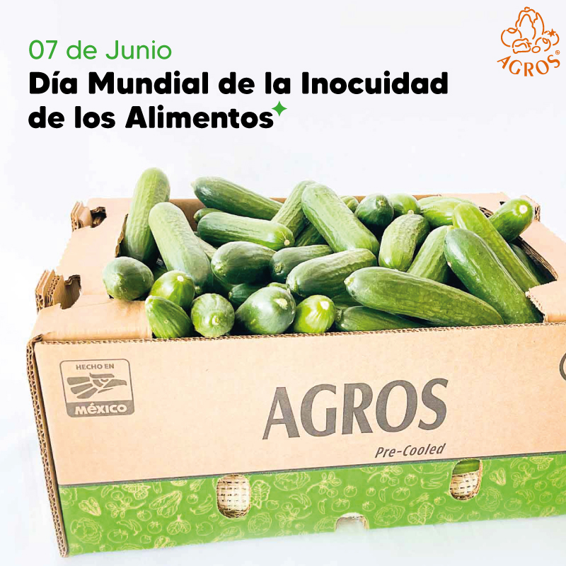 AgrosProduce's tweet photo. La inocuidad es la ausencia, a niveles seguros y aceptables, de peligro en los alimentos que puedan dañar la salud. 🩺 En Agros trabajamos para ofrecerte los mejores productos con la más alta calidad👌
#inocuidad #inocuidadalimentos #InocuidadAlimentaria #inocuidaddelosalimentos https://t.co/IP0kgWmrTP