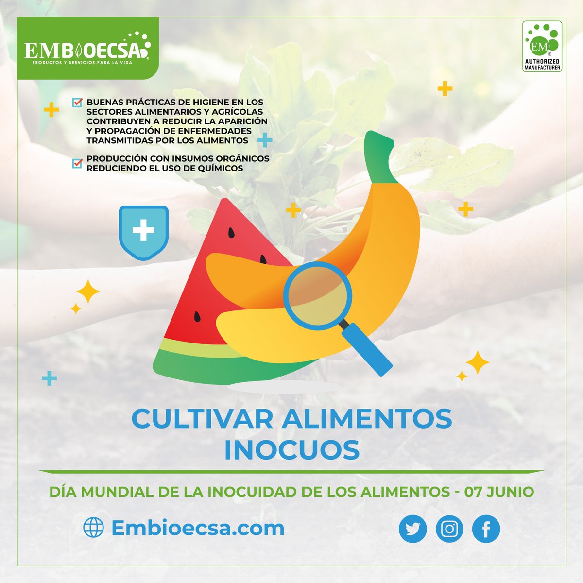 embioecsa's tweet photo. 🍎🍉La inocuidad de los alimentos es asunto de todos🤝Hoy celebramos el Día Mundial de la Inocuidad de los Alimentos🥗resaltando la importancia de la agricultura sostenible y la seguridad alimentaria en el día a día.

💻 https://t.co/k9t3BAL1nM
#diamundialdelainocuidadalimentaria https://t.co/BwpElEBE8l