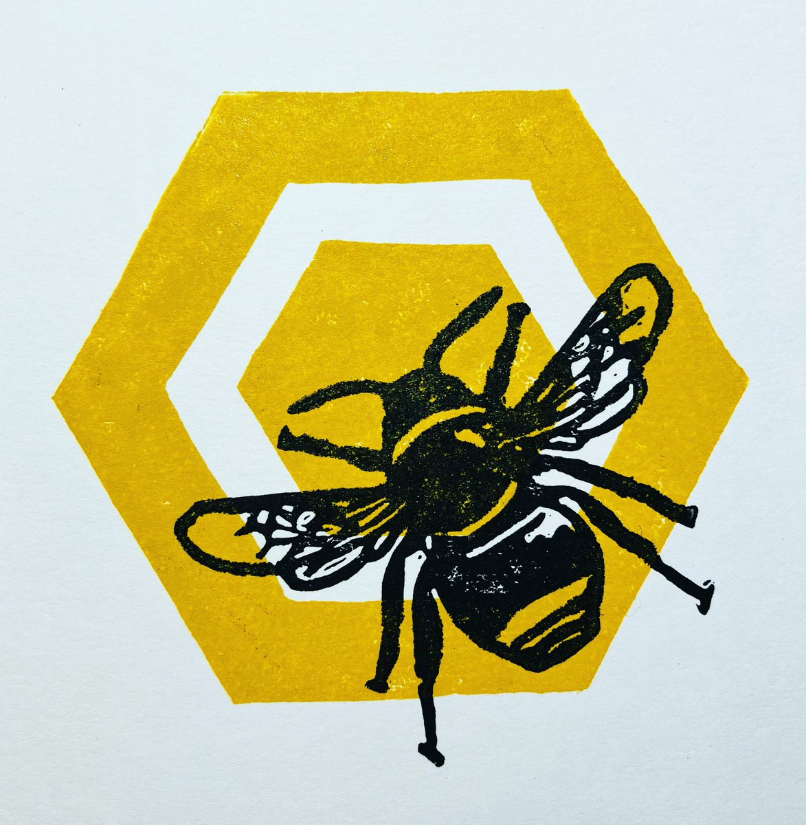 According to <a href="/DaveGoulson/">Dave Goulson</a> in his book #silentearth one monthly flea treatment for a medium dog can kill 60 million honeybees. Scary. #honeybees #extinction #linocut #linoprint #printmaking #fleatreatment #saveourbees #insects