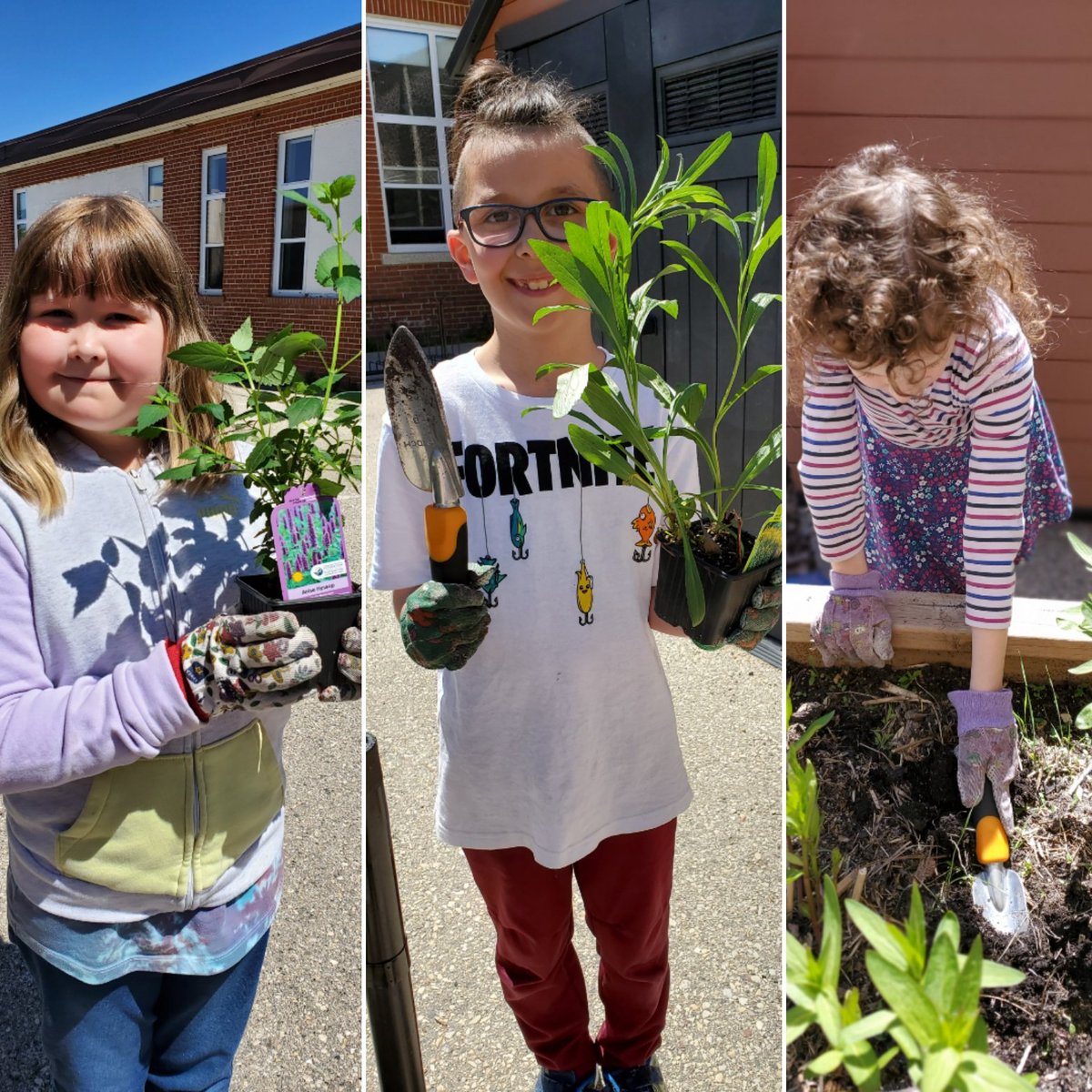 Room One LOVES plants!!! #cwfwildspaces