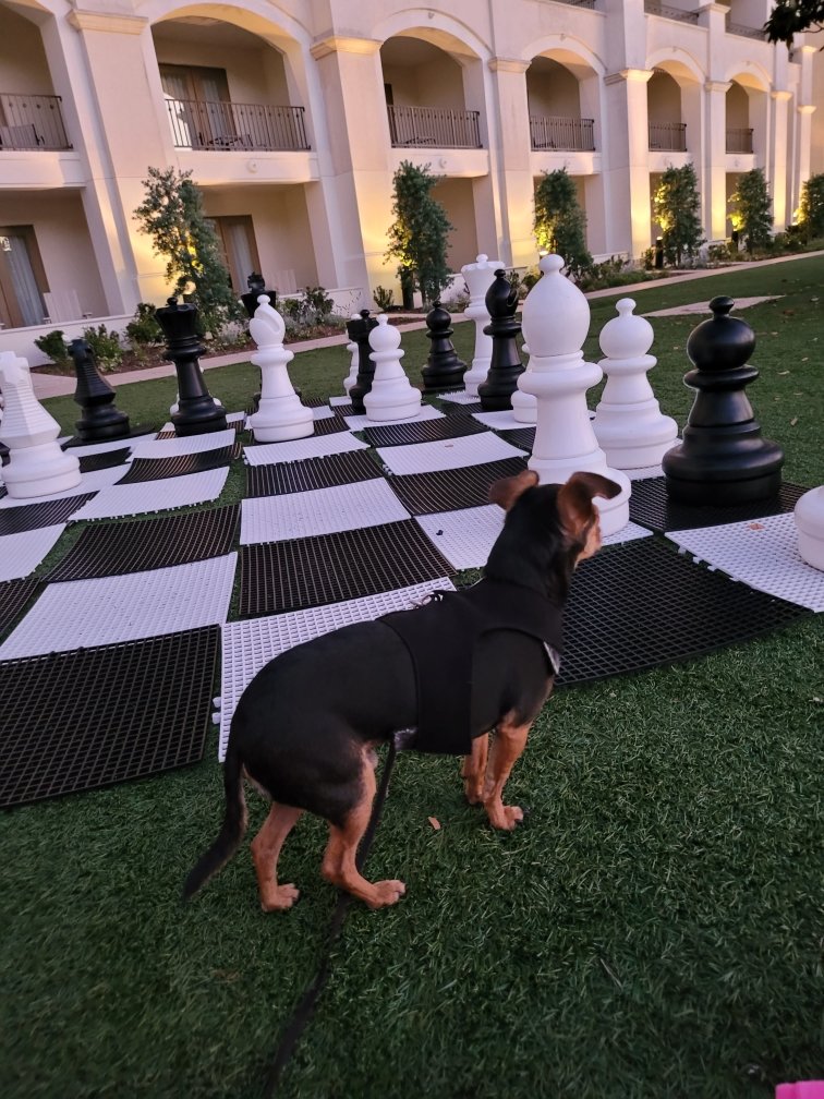 Warren3Peterson's tweet photo. Your move, Aston. https://t.co/4TxHFcahfu