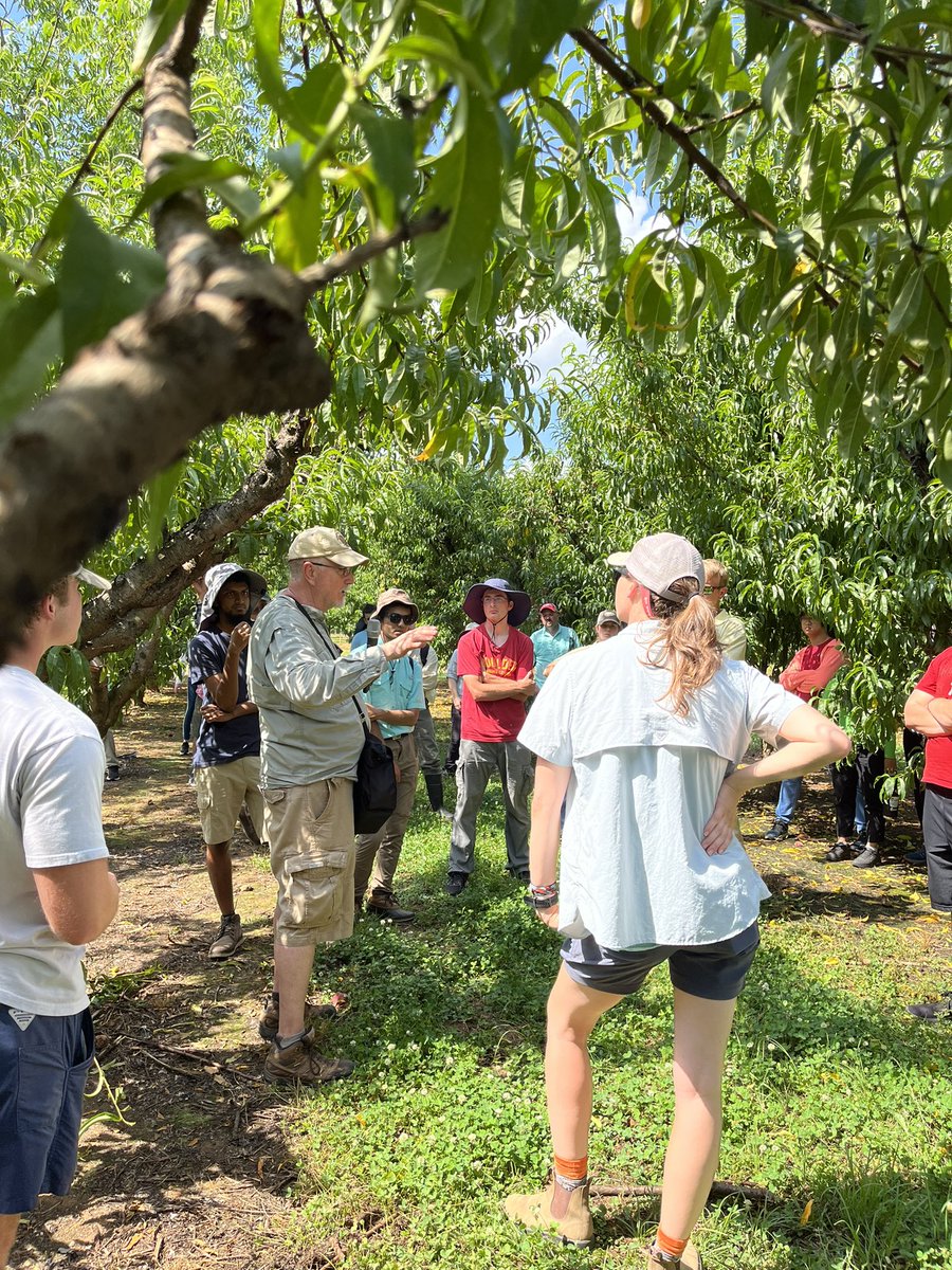 UGA_SAPPs's tweet photo. Thanks to all USDA specialists and @LaneSouthern for sharing your experiences about 🍑 disease management 
#sapps #uga #plantpathology #plantpath https://t.co/9iSBqFdMxU