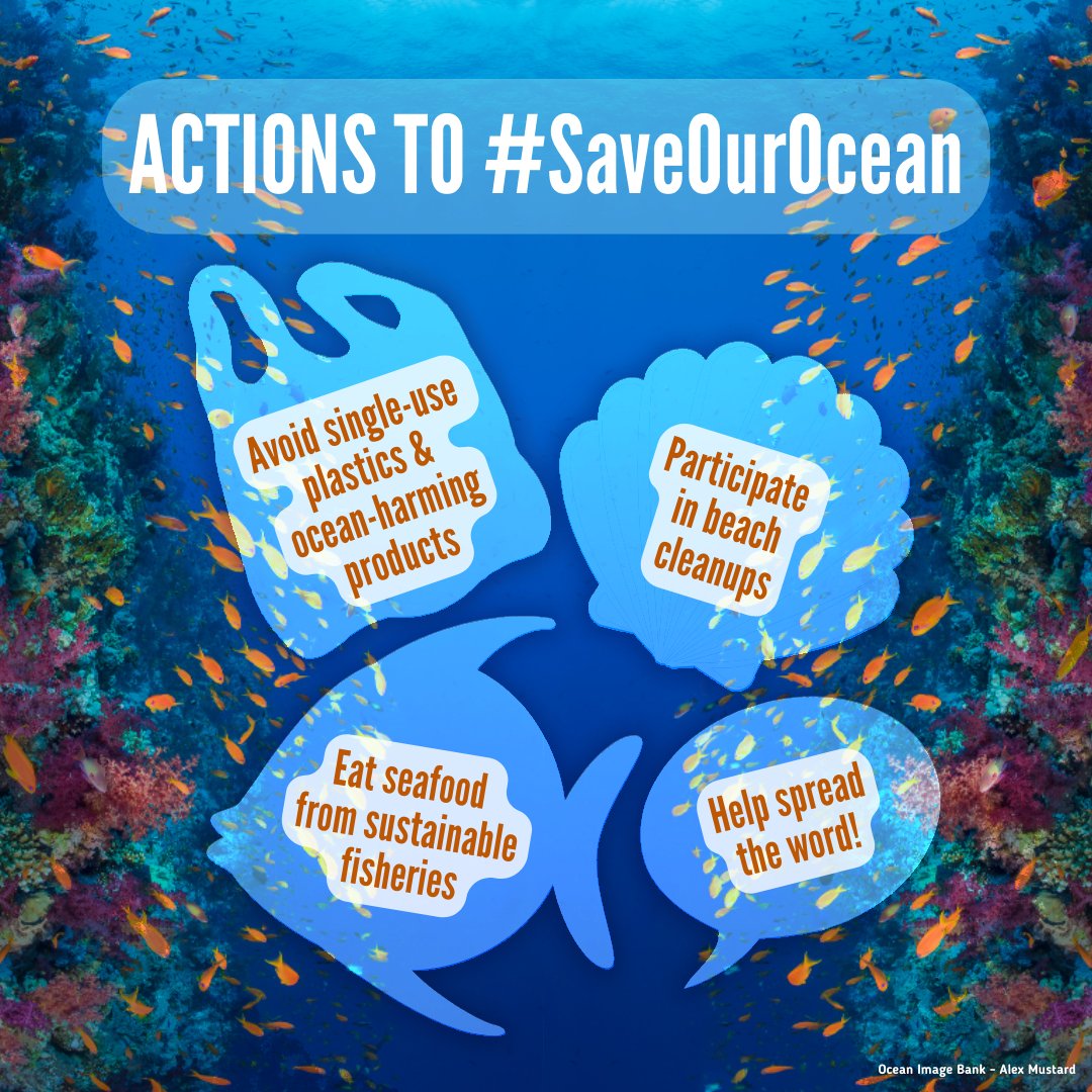 All of us can help #SaveOurOcean:
🍴 Avoid single-use plastics.
🏖️ Participate in beach clean-ups.
🐟 Only eat seafood from sustainable fisheries.
🗣️ Help spread the word!

More on Wednesday's #WorldOceanDay: unworldoceansday.org