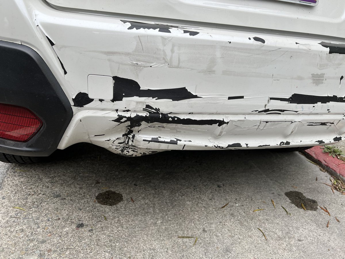 Jess Zak tweet media