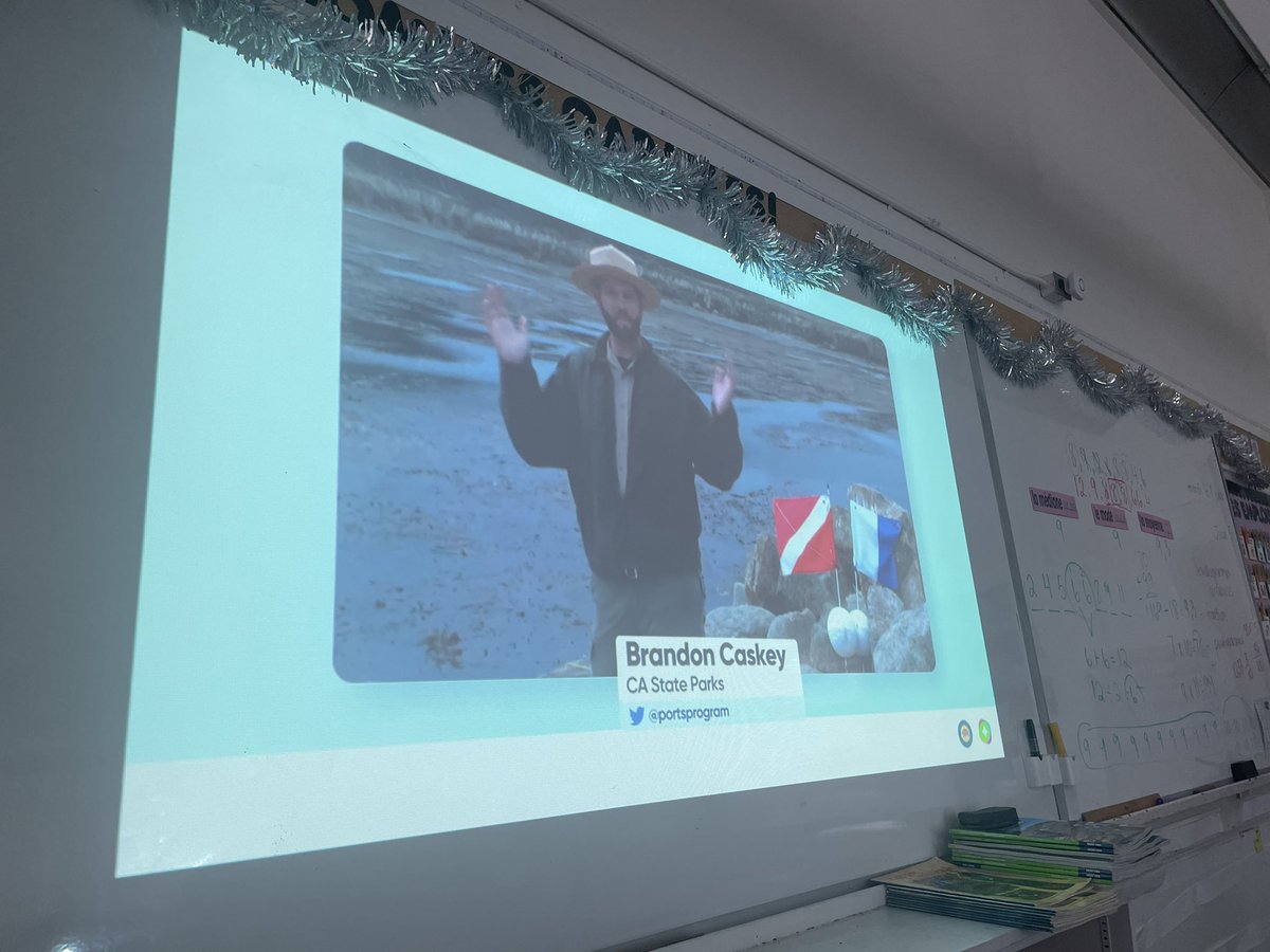 laclassedemmes's tweet photo. Thank you @FlipgridEvents & @portsprogram for the wonderful #FlipgridLive about #WorldOceansDay. We enjoyed learning about ways to protect marine habitats. https://t.co/H2Nt1fxZGo