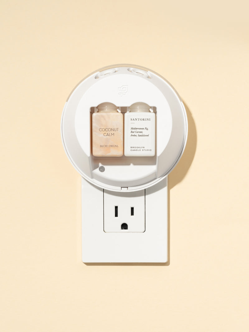 Cozy Earth tweet media