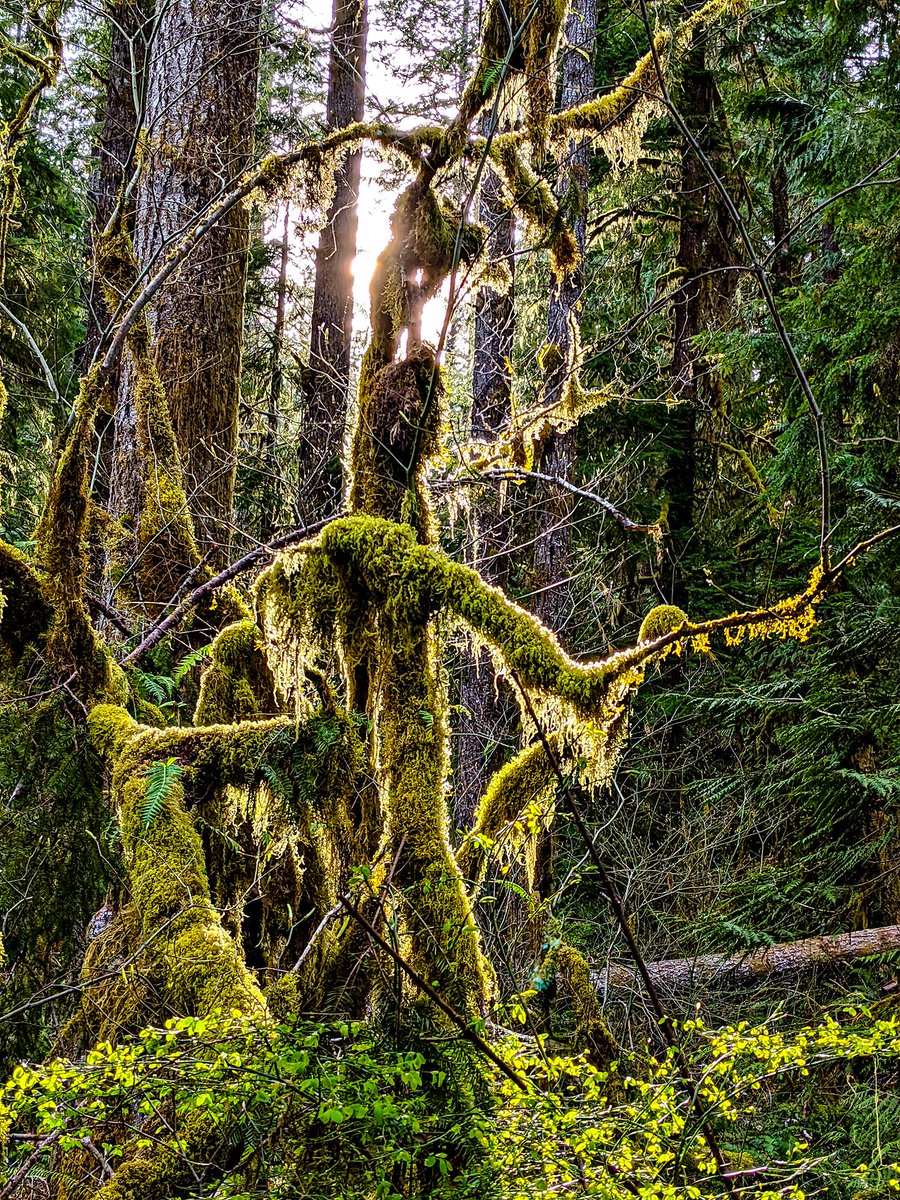 FinnExplores tweet media