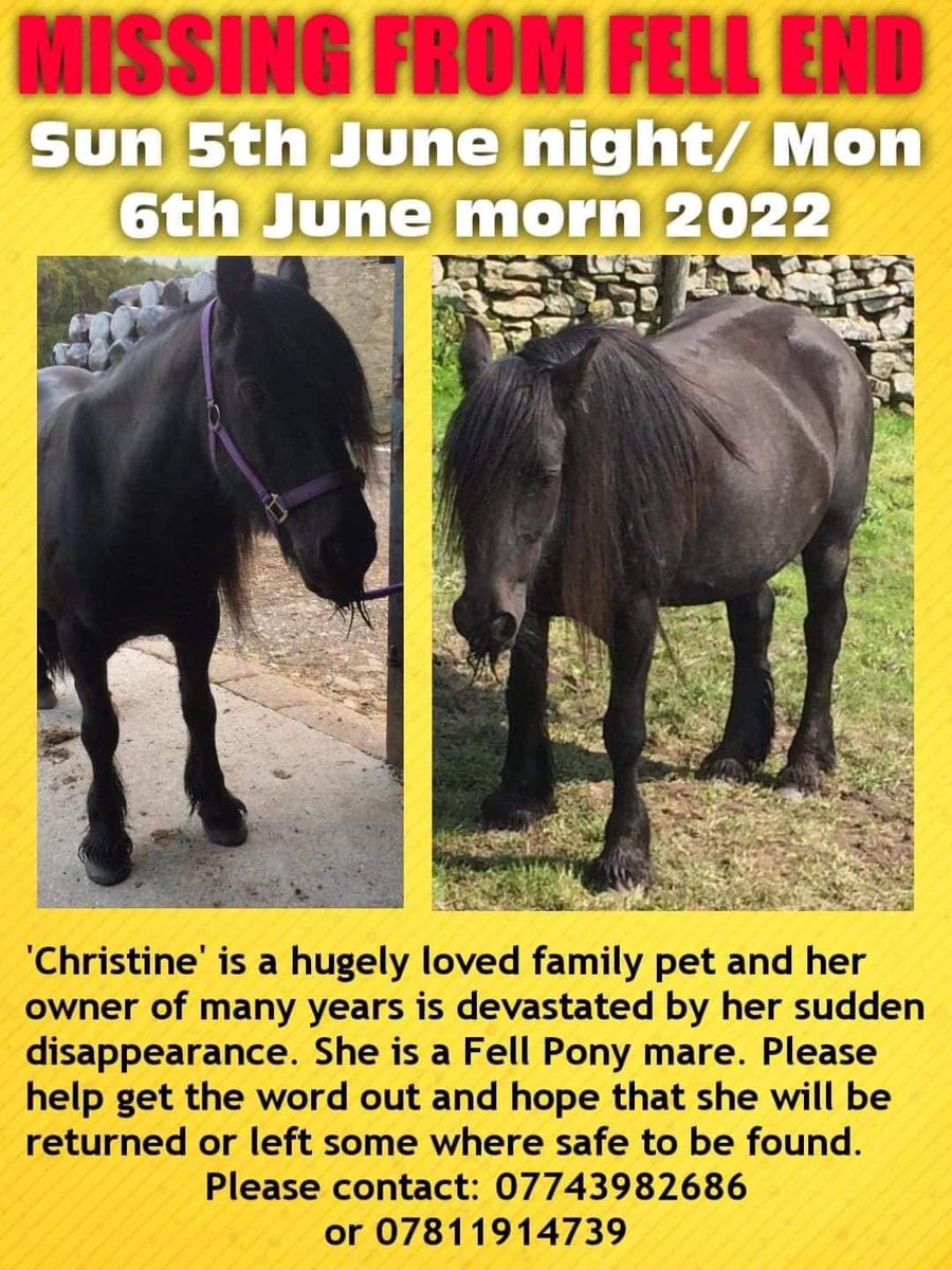 RuthOnTheHoof's tweet photo. My friend’s lovely Fell pony has gone missing from the Fell and has possibly been stolen. Please share and keep am eye out for her. She’s 13hh and all black #fellpony 🐴🐴 https://t.co/ex9btiOZEV