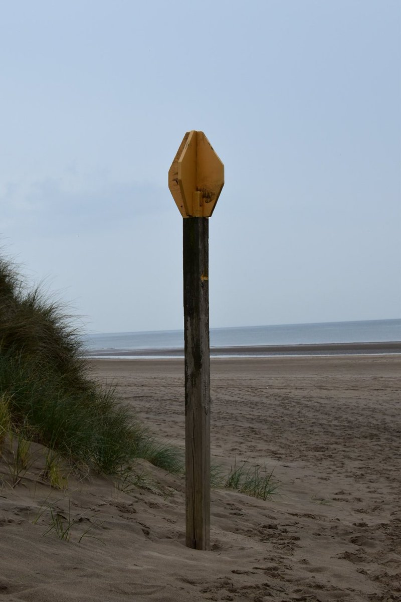 Tracey (@pebble_photo) on Twitter photo 