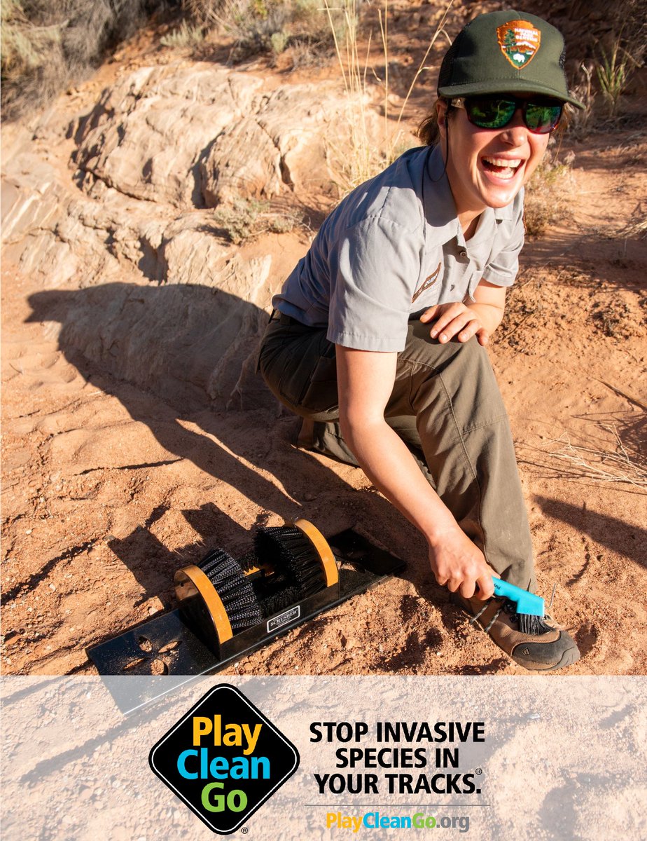 CanyonlandsNPS's tweet image. Do you know how to Stop Invasive Species in Your Tracks? Stop by the Elephant Hill Trailhead in the Needles tomorrow, Weds. 6/8 from 9 am to 12 pm to learn about how you can stop the spread of invasive species. #PlayCleanGo #PlayCleanGoAwarenessWeek 
nps.gov/planyourvisit/…