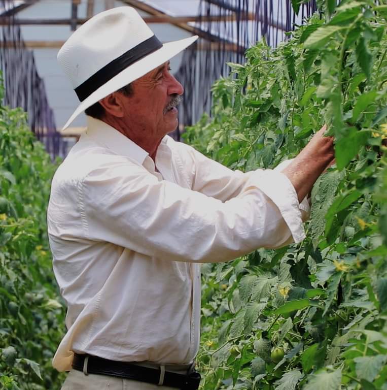 campovida2020's tweet photo. Los abuelos hacen su mayor esfuerzo para no permitir que las nuevas generaciones abandonen los campos por falta de oportunidades.
Vivan los abuelos campesinos. https://t.co/G5kn8JTTHj