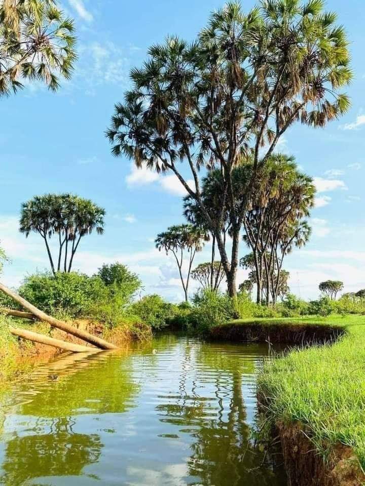 AhmedZachy's tweet photo. Gacanka FarLibaax https://t.co/32Tw2XskPm