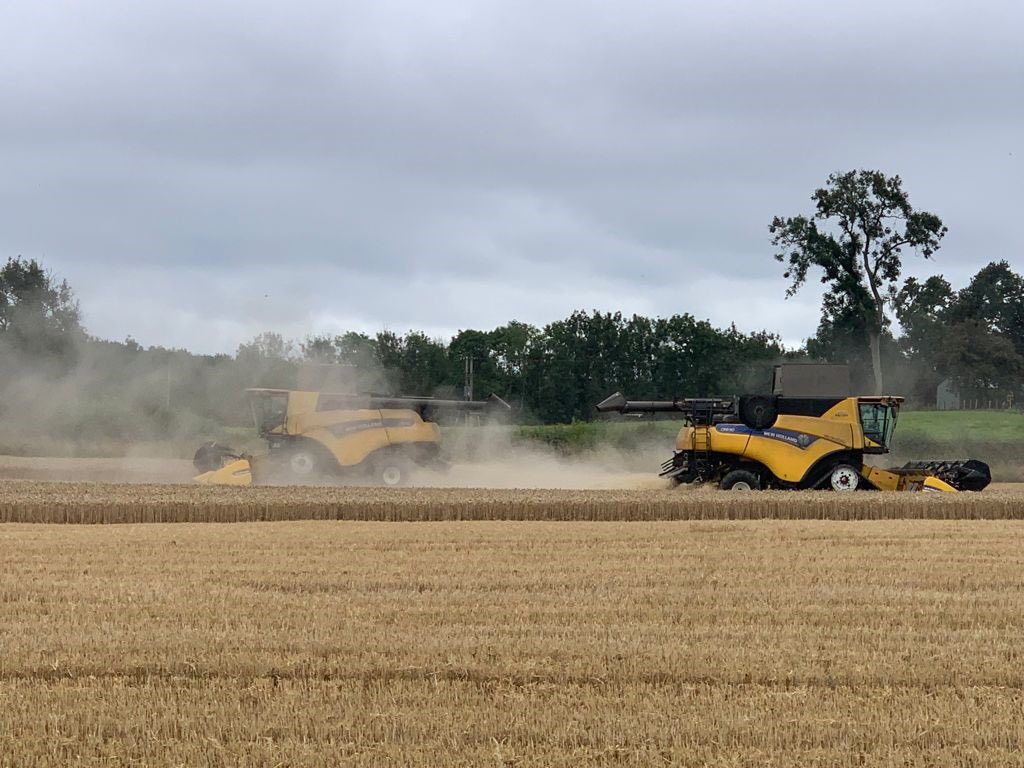 mertounfarms's tweet photo. Harvest Position

Mid July - Mid September onwards 
Varied role including trailer duties, cultivations and combining depending on experience and willingness to learn.
Modern machinery and facilities, regular cooked meals provided and good on-farm accommodation available. https://t.co/dvFrSfvkW7