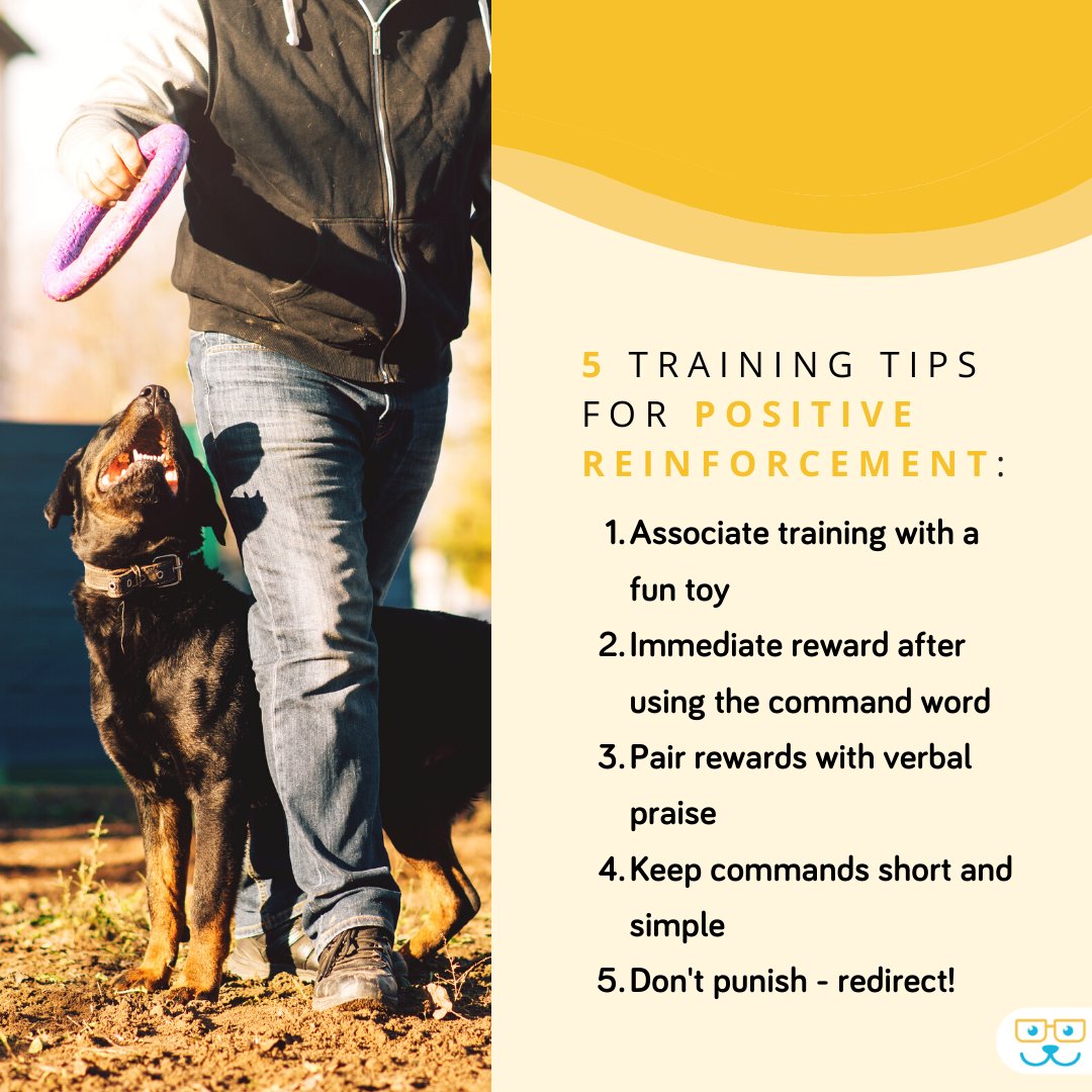 RauAnimalHosp's tweet photo. Positive reinforcement is a key component to training your dog. Check out these helpful tips! https://t.co/HRpM6rAZzt