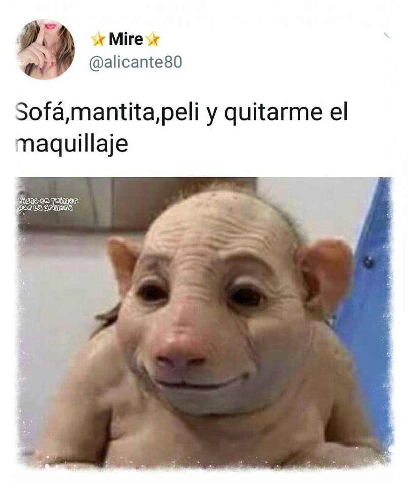 jptgal's tweet photo. #FirstDates7j 
La antonella cuando no está repitiendo el discursito como un loro, perdon, lora sin haber leido un puto libro :
Le va a ser duro el despertar https://t.co/0Mq9fJkDxd