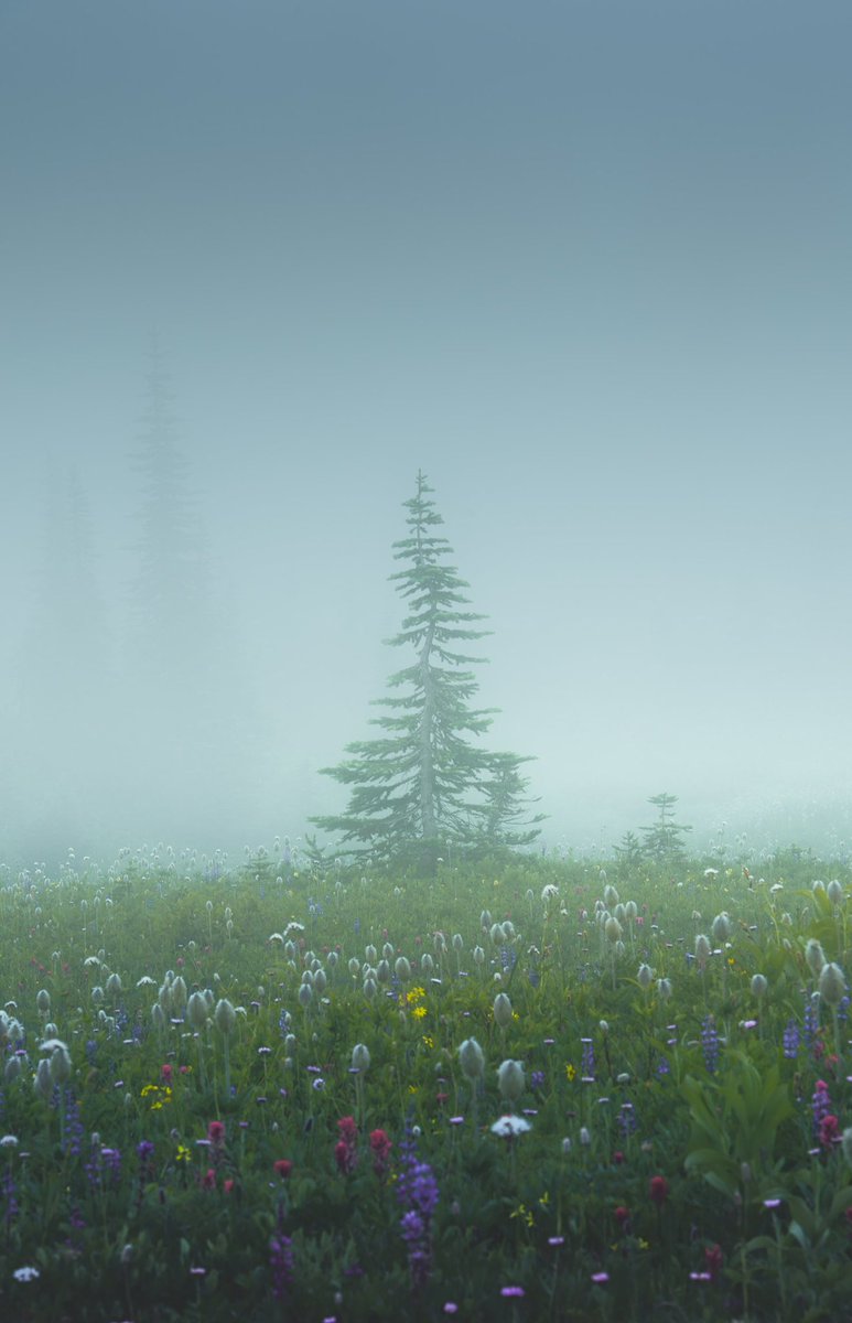 awayiflew's tweet image. “Crooked”