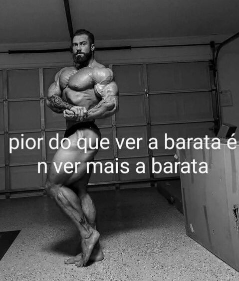 Shitpost só que de verdade (@shitpostverdade) on Twitter photo 