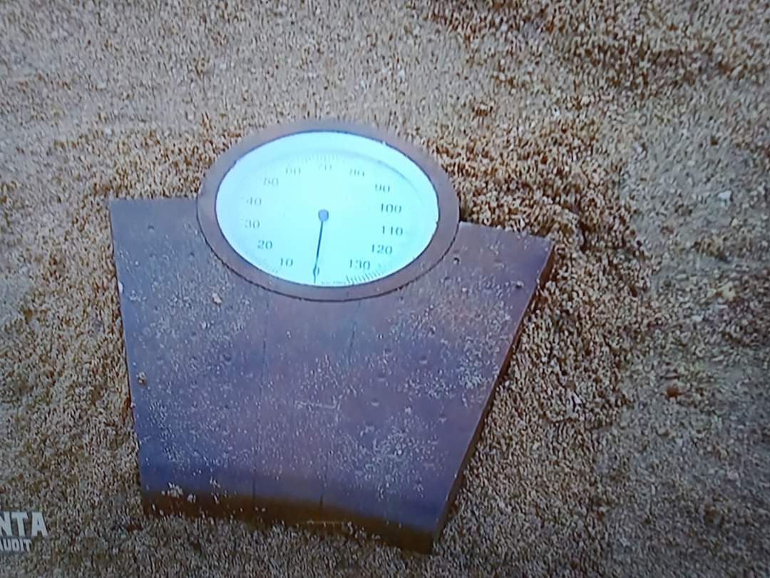 Neurchikohlanta's tweet photo. Oh ! Bah tiens... Nicolas est revenu dans l'aventure ! 🤣
#KohLanta #KohLanta2022 #KohLantaLeTotemMaudit https://t.co/Mg4l3DTiQP