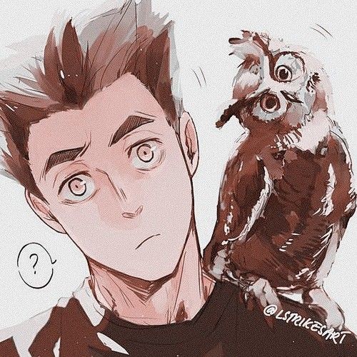 ⠀⠀⠀⠀⠀ 
 ⠀⠀⠀ — 𝗞𝗼̄𝘁𝗮𝗿𝗼̄ 𝗕𝗼𝗸𝘂𝘁𝗼 —
 ⠀⠀⠀► Only bots and rp accs
            ► Spanish acc
 ⠀⠀⠀⠀  ► Fav &amp; rt  —  #hqrp