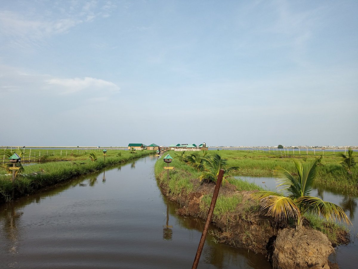 DouriyathDansou's tweet image. Djongoli&apos;&apos;vaille troisième édition 🤩🤩🤩
Un cadre naturel et calme, ça va parler numérique et culture.
Oups préparer vous pour le jeux sur le thème.
@TourismeBenin_ @AzizVorrez @Mr__Achraf @petitdekpe @MalickAbudul @ab_benin @ChammaGbeha @DassiMehou @EAgonmadami @finaub