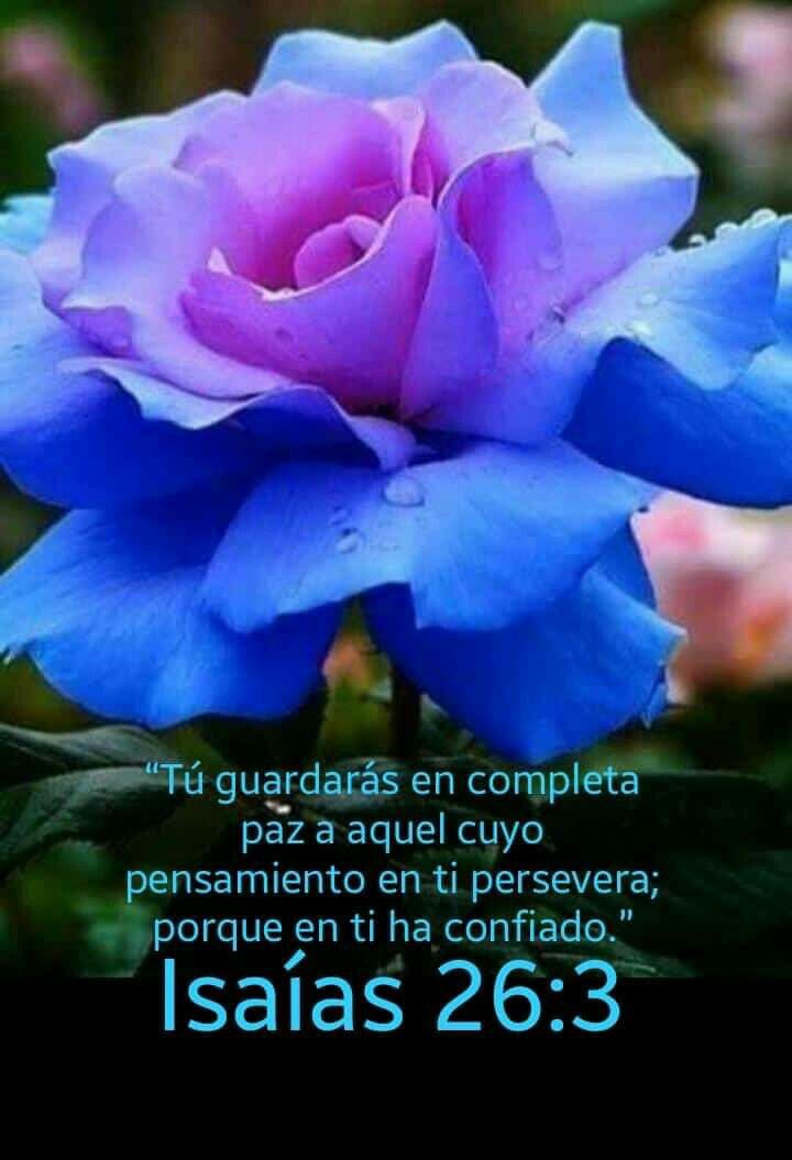 Mariita9147's tweet photo. ♥️🌎☝️🙌🕊️📖🙏 https://t.co/hqMUkSF4xW