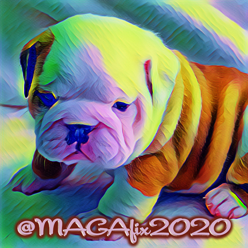 🇺🇸🐶🇺🇸
<a href="/LegendaryWolF2_/">ɳσƚ υɳƙɳσɯɳ</a>
<a href="/MAGAfix2020/">𝟸𝟶𝟸𝟶✦𝚃𝚁𝚄𝚃𝙷 🇺🇸 𝙲𝚊𝚕𝚕 𝙼𝚎 𝙱𝚛𝚞𝚌𝚎</a>
<a href="/Qu33nB56/">👸Queen B 56 🐝</a>
<a href="/sexyone491/">⭐️🍊⭐️SEXYGIRL⭐️🍊⭐️</a>
@JorgeF2021
@FAC3L3SSS
<a href="/x4eileen/">Eileen Bridget🌸</a>
<a href="/SandiBoshell/">Sandi Boshell</a>
@hounderbounder
<a href="/RINOarmageddon/">RINOarmageddon</a>
<a href="/goldisez/">Goldi 🌺</a>
<a href="/Grama641/">♥️ The Answer to hate is always Love Charlie Kirk</a>
@Hannibal954
<a href="/1us45/">Gianis 🇺🇸</a>
<a href="/Red3691/">Billy Red🍊MAGA🦅Trump Won🇺🇸</a>
<a href="/Msajr4/">🇺🇸Mark🇺🇸</a>
<a href="/F4tUS/">ConnSCG Fight For America® ⭐⭐⭐</a>
<a href="/FartMarbles/">☆ComradeFJB45☆</a>
@BrittGlassxo
<a href="/HunterzLaptop/">Greg Smith 🇺🇸🍊🇺🇸🍊🇺🇸</a>
@OneLadyOneVote
<a href="/MAGAGAL58/">💞SuZaNnE💞</a>
<a href="/01ota/">Ota.</a>