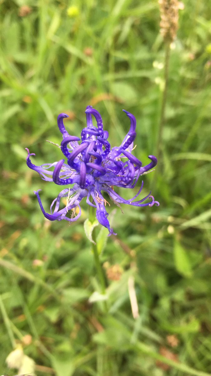 Get Creative tweet media