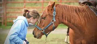 Horseback riding is a common spending item we see here at NeuroNav, and for a good reason. Learn about the various types of equine therapy and how each can provide participants with numerous physical, mental, and emotional benefits. 

buff.ly/3meldGS