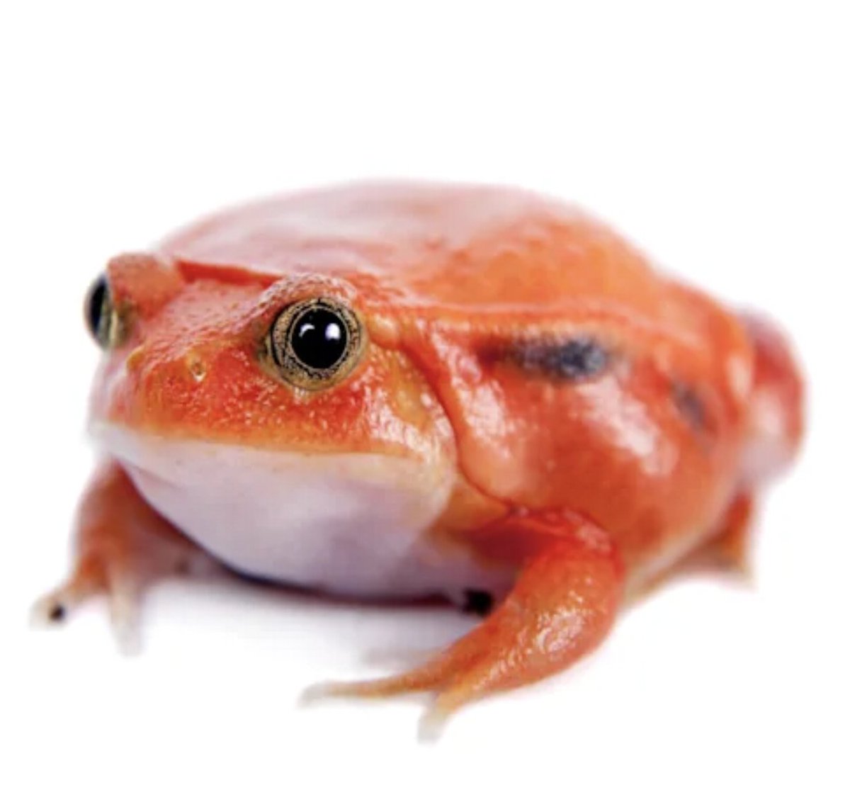 LSTSblog tweet media