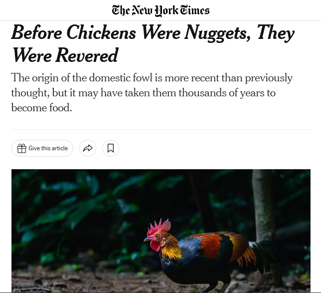 Julia Best tweet media