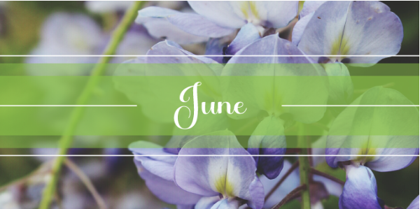 VelmaMarketing's tweet photo. Hello June! Let the summer begin ☀️😎 Check out our Monthly greeting newsletter for some fun and interesting facts about this month: https://t.co/8xbD7hELNA
#june2022 #funfacts #summer2022 https://t.co/KpeykjYhXx