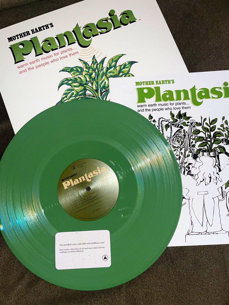 one of the coolest vinyls i own!!! you can plant the download card and wildflowers will grow 💚