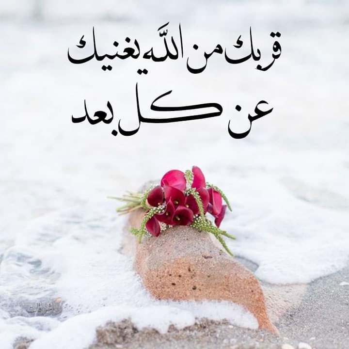 BwdhSqr's tweet photo. #بحبك_لانك 
أنت سبحانك عالم بحالي https://t.co/pc5aAweTge
