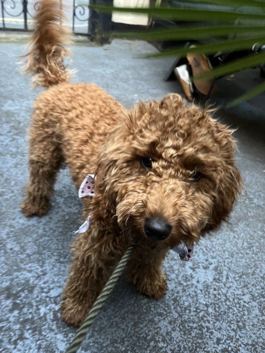 KellyMorris tweet media