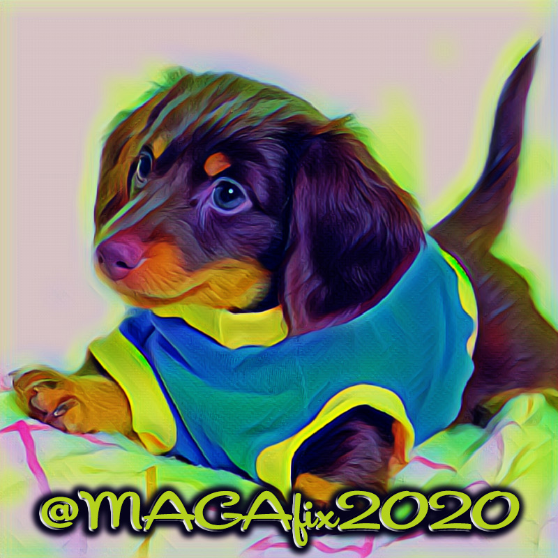 🐶💕🐶
<a href="/TJLakers01/">Tim Lawrence</a>
<a href="/MAGAfix2020/">𝟸𝟶𝟸𝟶✦𝚃𝚁𝚄𝚃𝙷 🇺🇸 𝙲𝚊𝚕𝚕 𝙼𝚎 𝙱𝚛𝚞𝚌𝚎</a>
@susanusa29
<a href="/artoshred/">Artoshred</a>
<a href="/Marcey865/">Marcey</a>
<a href="/PSwal807/">Penny Calls a Lid 🇺🇸🇮🇹</a>
<a href="/TrumpWonBig2020/">꧁MAGAdogUSA꧂ ٭¹⁷⁷⁶٭</a>
<a href="/MDay4USA/">M.V.Day #MAGA ✝️God Bless🇺🇸#KAG🦅#DeFi</a>
@Stellafollowsy1
<a href="/47angb/">Angie Bell 🔔 #1776</a>
<a href="/Jexyka_3/">Jessica Barker🇺🇸🇷🇺</a>
<a href="/NoletDiana/">Chaos Diana Nolet 🇺🇲</a>
<a href="/LegendaryMe123/">Cavidan Calap</a>
<a href="/Hapalochlaena2/">Hapalochlaena</a>
<a href="/FredP72/">USNA ‘72</a>
<a href="/Compass1768/">🇺🇸❤️🪽Winged_Angel68🪽❤️🇺🇸</a>
<a href="/GunsGritGod/">IdahoTee</a>
@EdwardCarlsen3
<a href="/Jemaco40/">@Jemaco40</a>
<a href="/DeepStateDemise/">༒ The Ghost of Henry Namesake 🍊🍊</a>
<a href="/TheRebeluniter/">Stinkerbelle the very rebel Patriot!!!!!#Texit</a>