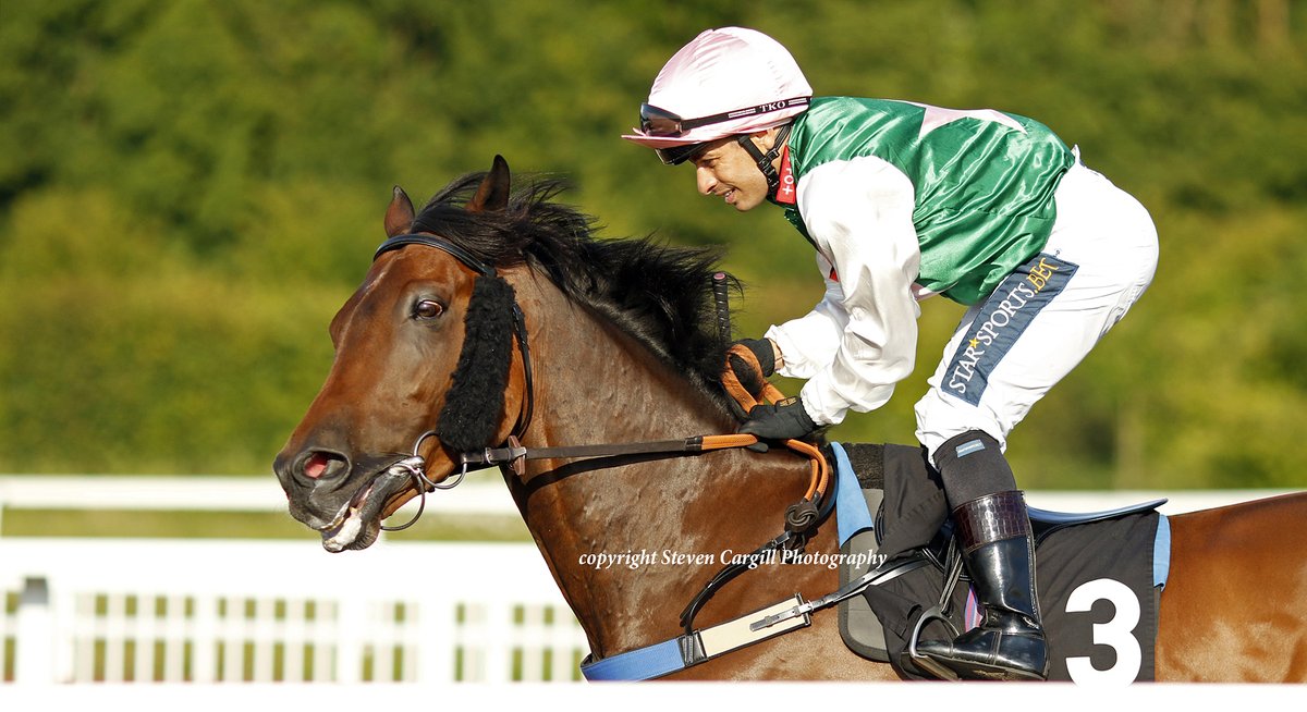 Steven_Cargill's tweet photo. 7th win for 5yo g SIR OLIVER @SilvDSousa in 7f handicap @ChelmsfordCRC tonight for @YeomanstownStud Dark Angel and trainer Chris Dwyer https://t.co/xSXW3jcemw