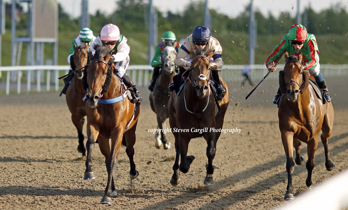 Steven_Cargill's tweet photo. 7th win for 5yo g SIR OLIVER @SilvDSousa in 7f handicap @ChelmsfordCRC tonight for @YeomanstownStud Dark Angel and trainer Chris Dwyer https://t.co/xSXW3jcemw