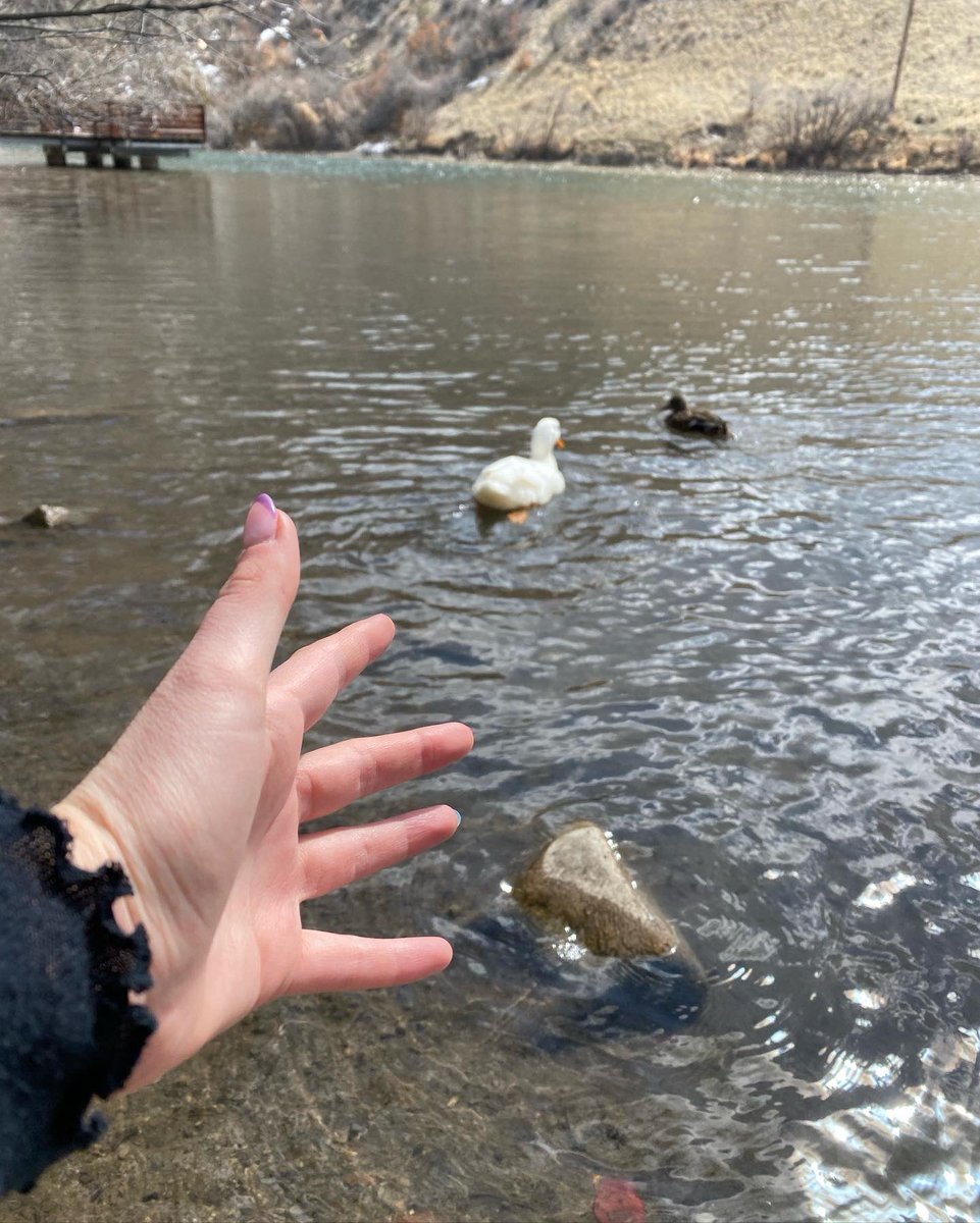 Throwback photos plus just quirky things✨