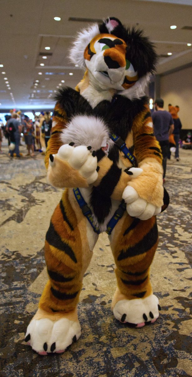 StirlingCorgi's tweet photo. Continuing to work on editing my pics from Texas Furry Fiesta back in March 2022. Tag anyone if you recognize them. #TFF #TFF22 #furry #fursuit https://t.co/UFdRRNOr9L
