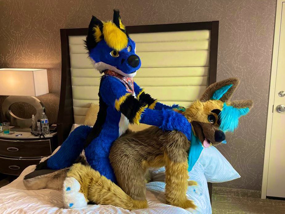 Striker Fox (@RoxasFolf) / Posts / X