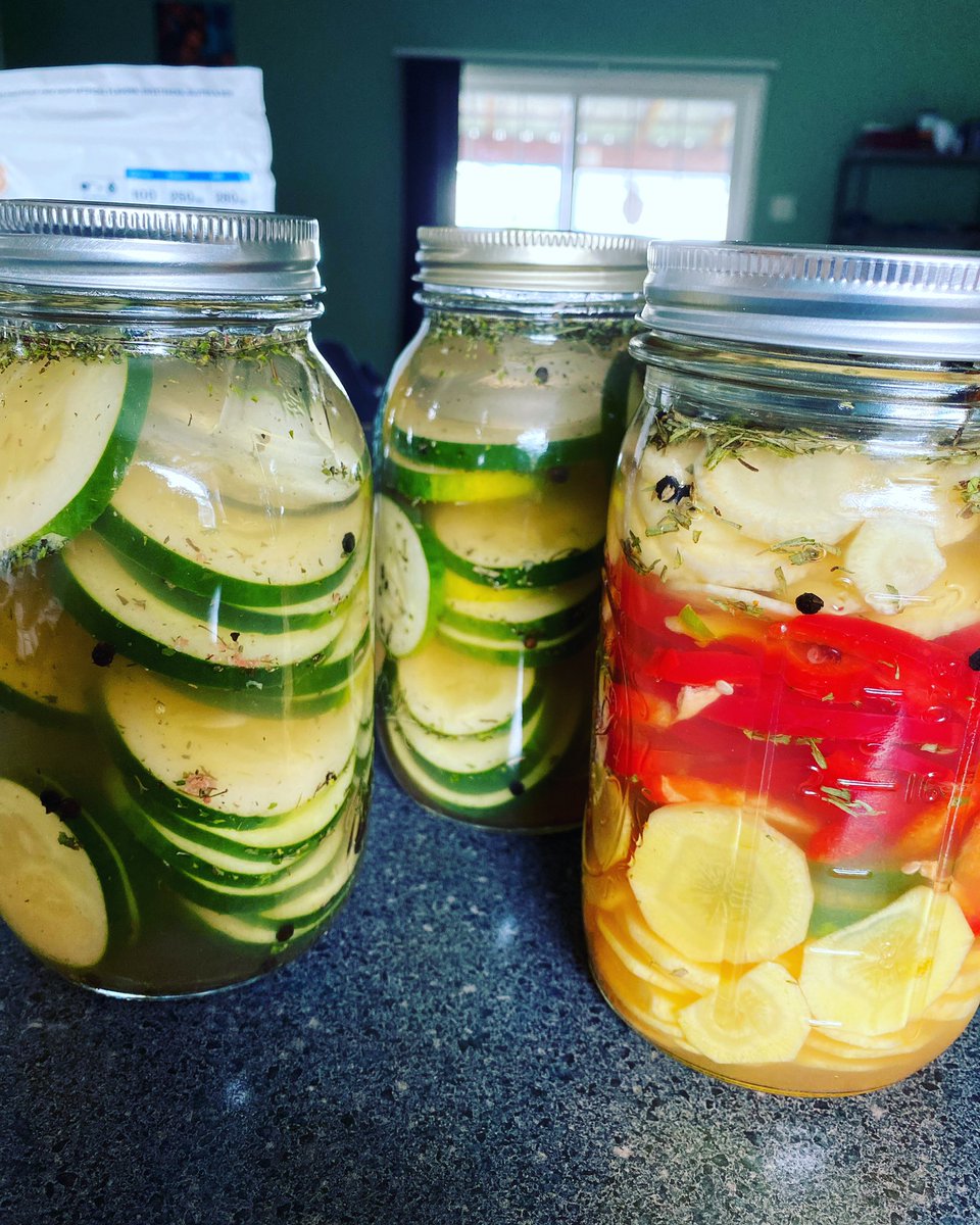 Had some time after work to make pickles and pickle carrots with sweet red peppers. So excited to try them in 24 hours! #lifeistrailrunning #veganfood #homemadepickles #vegantrailrunner